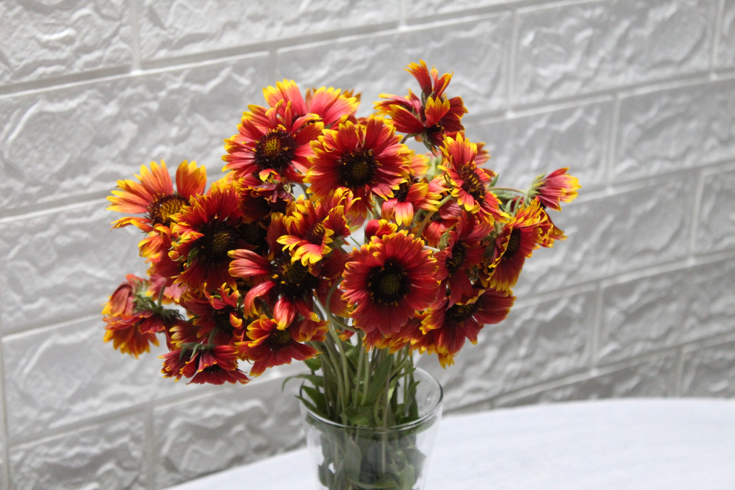 Buy Gaillardia Flower Bunch Bloomybliss Online Florist