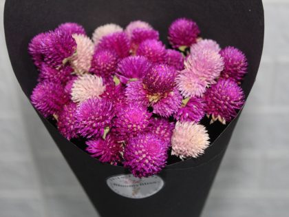magenta-pink-dried-flowers-bouquet