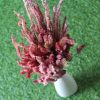 dried-fandango-pink-celosia-flower-bunch