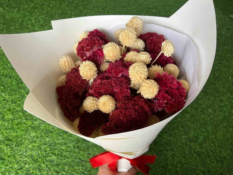 Buy Dried Cockscomb Flowers bunch - BloomyBliss