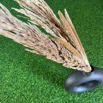 dried-pampas-grass-millets