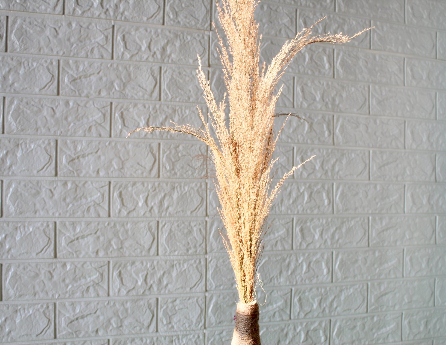 dunelm dried pampas grass
