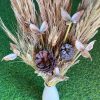 dried-pampas-grass-pinecones