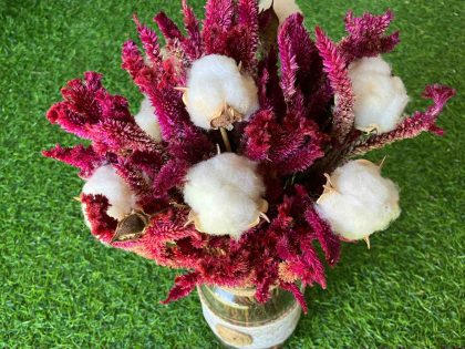 bright-beauty-dried-flowers-bunch