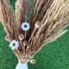 dried-pampas-grass-with-acroclinium-flowers