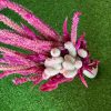 dried-phalaris-celosia-bunch