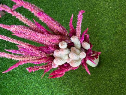 dried-phalaris-celosia-bunch