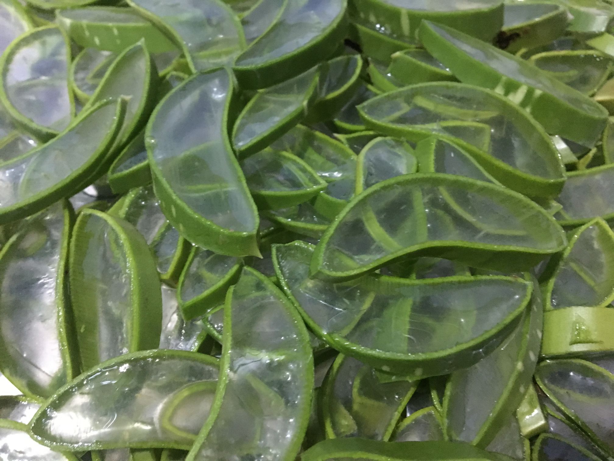 Aloe-vera  beauty(hair/skin) benefits