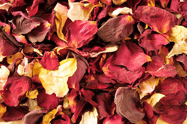 12 Ways to Use Dry Flower Petals