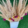 dried-flowers-pampas-bunch