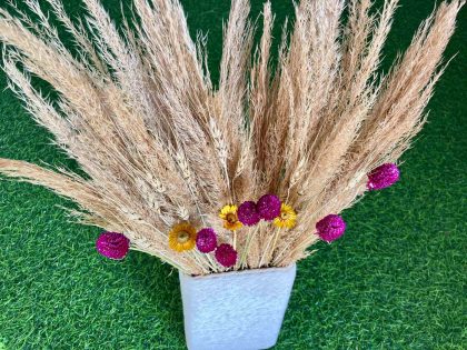 dried-flowers-pampas-bunch