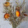 yellow-shine-dried-flowers-bunch