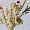 queen-annes-lace-dried-flower-bouquet