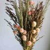pink-and-wild-green-dried-flower-bunch