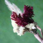 maroon-white-natural-dried-flowers-boutonniere-for-wedding-2