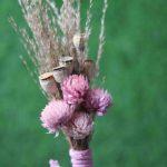 pink-brown-natural-dried-flowers-boutonniere-for-wedding