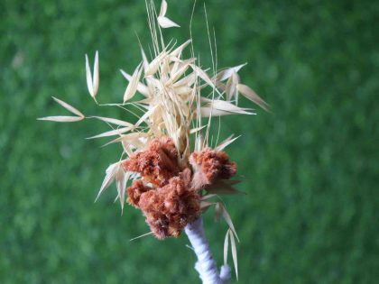 orange-cream-natural-dried-flowers-boutonniere-for-wedding