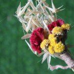 maroon-cream-natural-dried-flowers-boutonniere-for-wedding