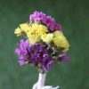 yellow-purple-natural-dried-flowers-boutonniere