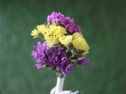 yellow-purple-natural-dried-flowers-boutonniere
