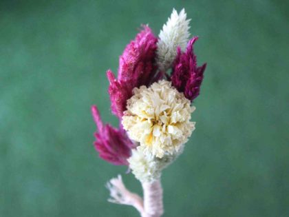 off-white-maroon-dried-flowers-boutonniere