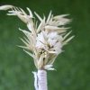 boho-white-natural-dried-flowers-boutonniere