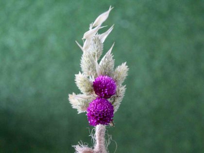 purple-green-natural-dried-flowers-boutonniere