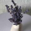 dried-lavender-bunch