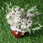 white-green-dried-flower-bouquet