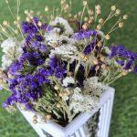 white-violet-big-dried-flowers-bunch