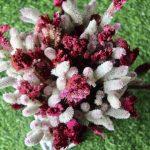 White_Maroon_big_Dried_flowers_bunch