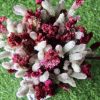 White_Maroon_big_Dried_flowers_bunch