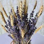 Lavender_ Wheat _Bunch