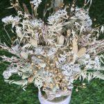 White_ Wheat_ Green _big_ flowers_ bunch