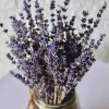 dried-lavender-flowers-bouquet