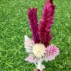 magenta-pink-natural-dried-flowers-boutonniere