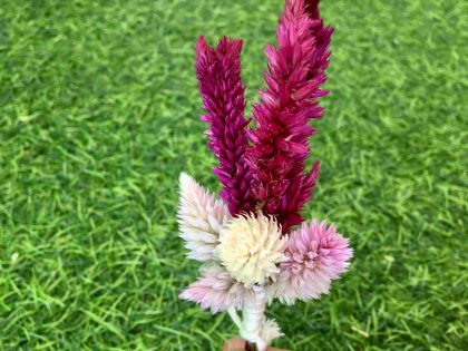 magenta-pink-natural-dried-flowers-boutonniere