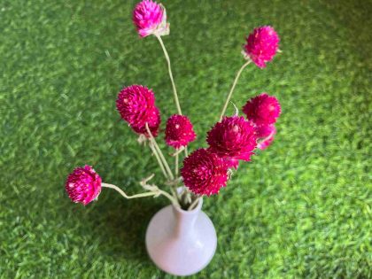 dried-white-gomphrena-flowers-bunch