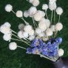 Dried_White_Blue_Flowers_Bunch