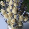 A beautiful dried lavender and white Gomphrena flowers bouquet in a rustic vase, showcasing its texture and natural colors