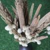 Dried_Pampas_White_Flowers_Bouquet