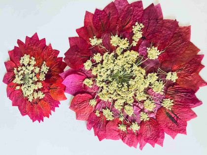 Set Of 2 Pink White Dried Pressed Flowers