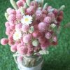 Baby_Pink_Dried_Flowers_Bouquet_7