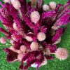 pink-dreamy-love-dried-flowers-bouquet