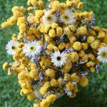 yellow-white-lavender-dried-flowers-bouquet
