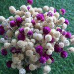 white-purple-dried-flowers-bouquet