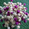 white-purple-dried-flowers-bouquet