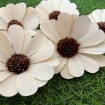Handcrafted Daisy Sola Wood Flowers