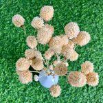 dried-white-gomphrena-flowers-bunch-2