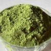 Dried Curry Leaves Extract | Powder